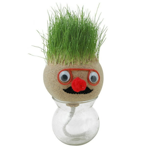 Grass Head Doll Mini Grasshead Hair Grow Toy Bonsai Head Grass Doll Education Toys Plant Garden DIY Gifts for Children
